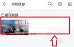 哔哩哔哩离线缓存页面里的缓存任务列表