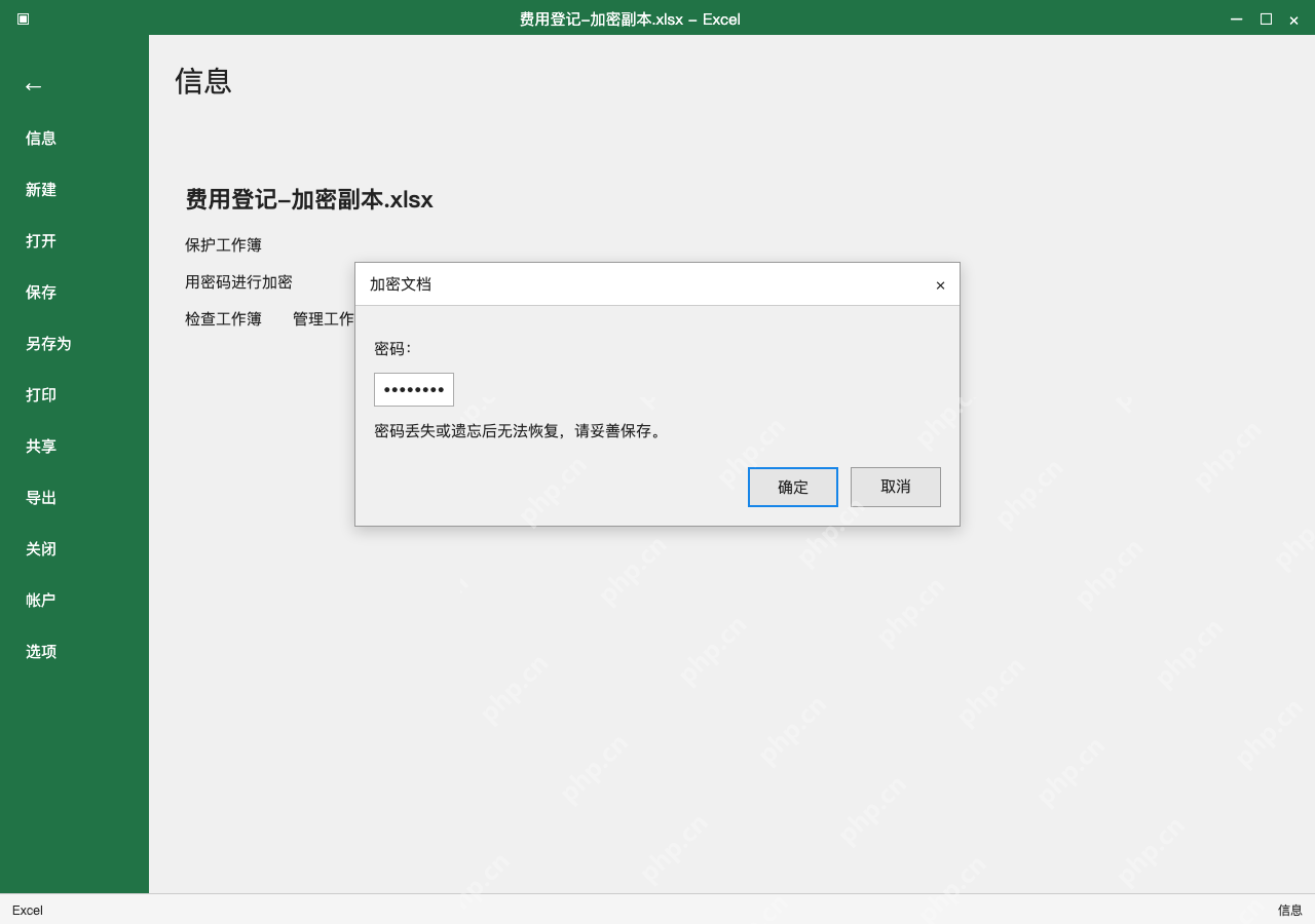 模拟 Microsoft Excel 完整窗口:先设置打开密码,保存独立加密副本