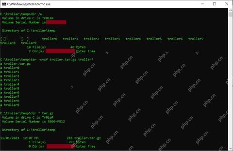 Windows 命令提示符创建 tar.gz 后用 dir 验证归档文件