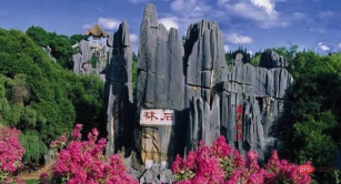 QQ20241230-154207.png