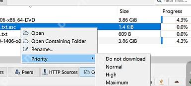 qBittorrent Priority 子菜单中 High 和 Maximum 文件优先级选项
