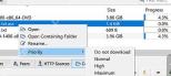 qBittorrent Priority 子菜单中 High 和 Maximum 文件优先级选项