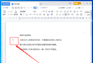 WPS文字正文中显示编辑标记后的排版检查画面