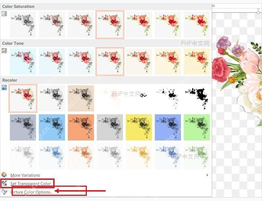 PowerPoint 图片格式工具中处理 PNG 背景透明区域
