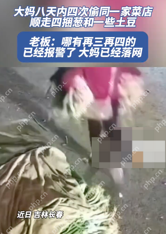 大妈八天四次偷同一家菜店被抓了吗?详情介绍 - php中文网