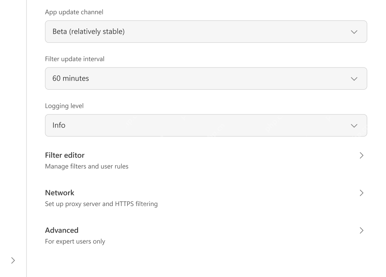 AdGuard App settings 页面中的自动更新和高级入口