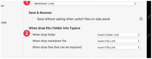 新版 Files 设置页显示 Save & Recover 分组。