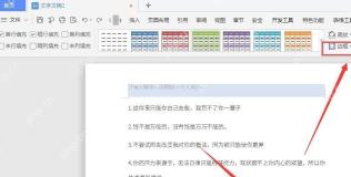 WPS文字表格样式选项卡里的边框按钮