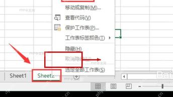 Excel 工作表标签编辑并显示新名称的位置,用于确认修改工作表名称后的结果