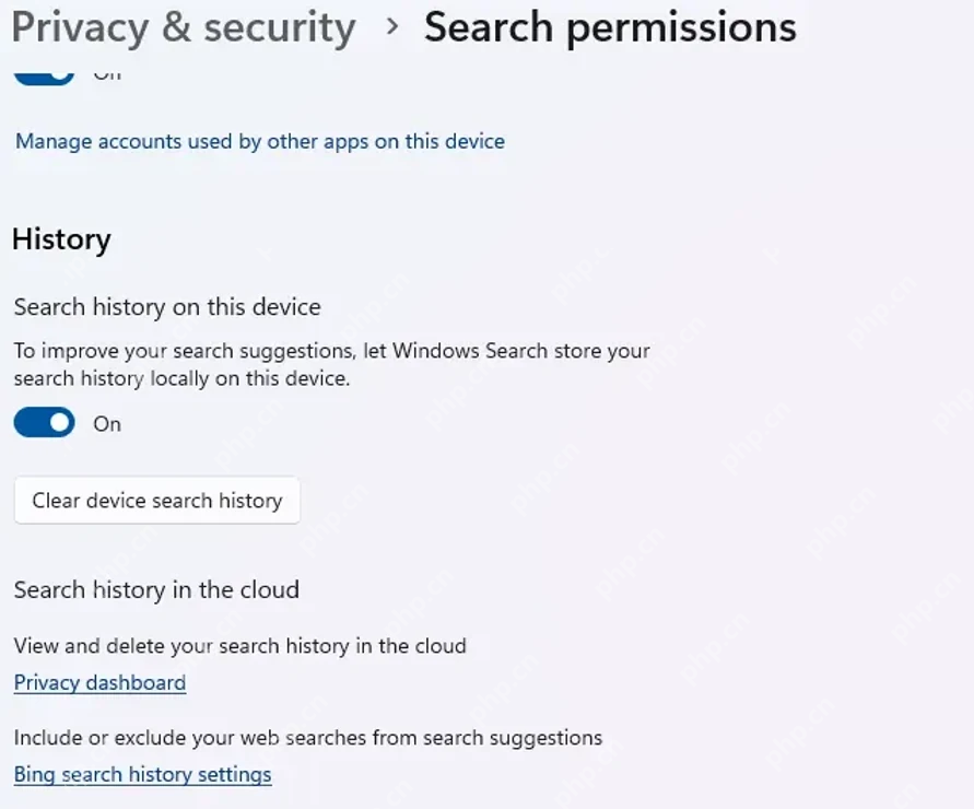 Win11怎么清除Windows搜索历史:打开 Search permissions