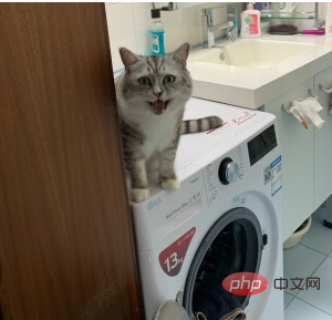 LG洗衣機屬於什麼等級