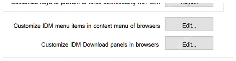 IDM General 页 Customize download panel 区域,对应调整浏览器下载面板规则。