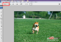 1567477447884251.png ps2018修補工具怎麼用