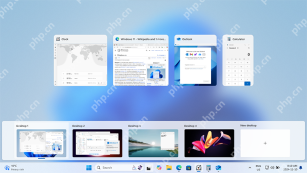 win11怎么关闭任务视图按钮_win11任务栏任务视图按钮隐藏步骤 - php中文网