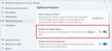 Win11 WSL 设置中启用 GUI applications 图形应用支持