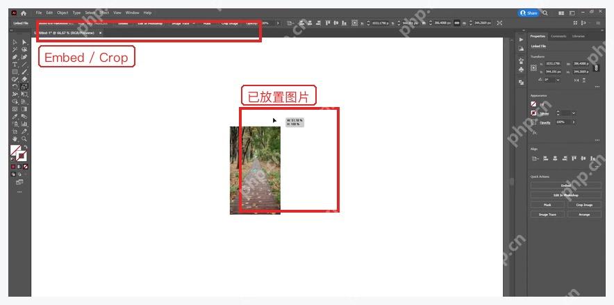 Illustrator 画板中已放置的本地图片和控制栏
