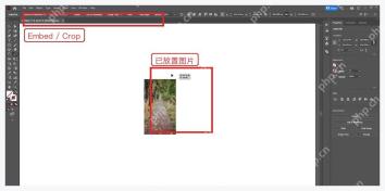 Illustrator 画板中已放置的本地图片和控制栏