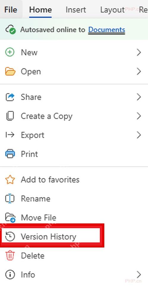 Word 网页版 File 菜单里的 Version History 入口,用于查看在线文档历史版本