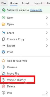 Word 网页版 File 菜单里的 Version History 入口，用于查看在线文档历史版本