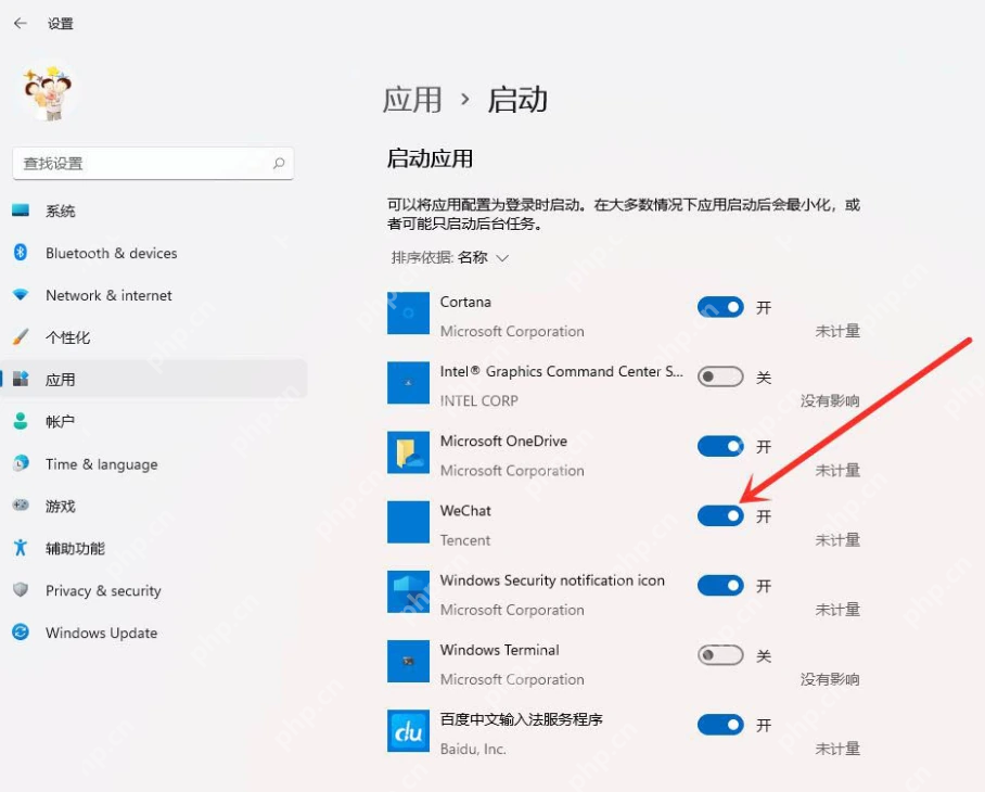 Win11 设置应用启动应用开关列表