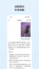 千问 App 图文教程操作界面