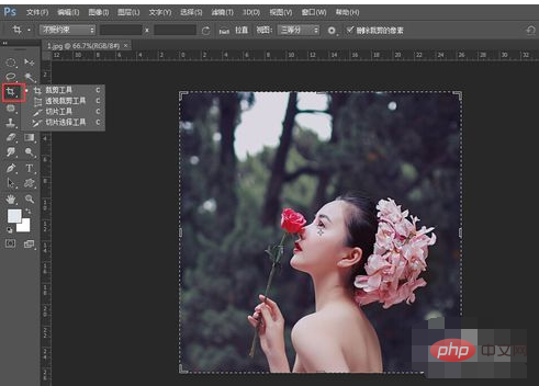 How to crop pictures in pscs6