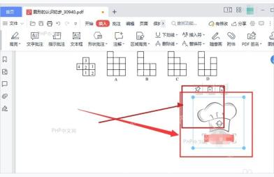 PDF 页面中放置签名并调整大小的结果