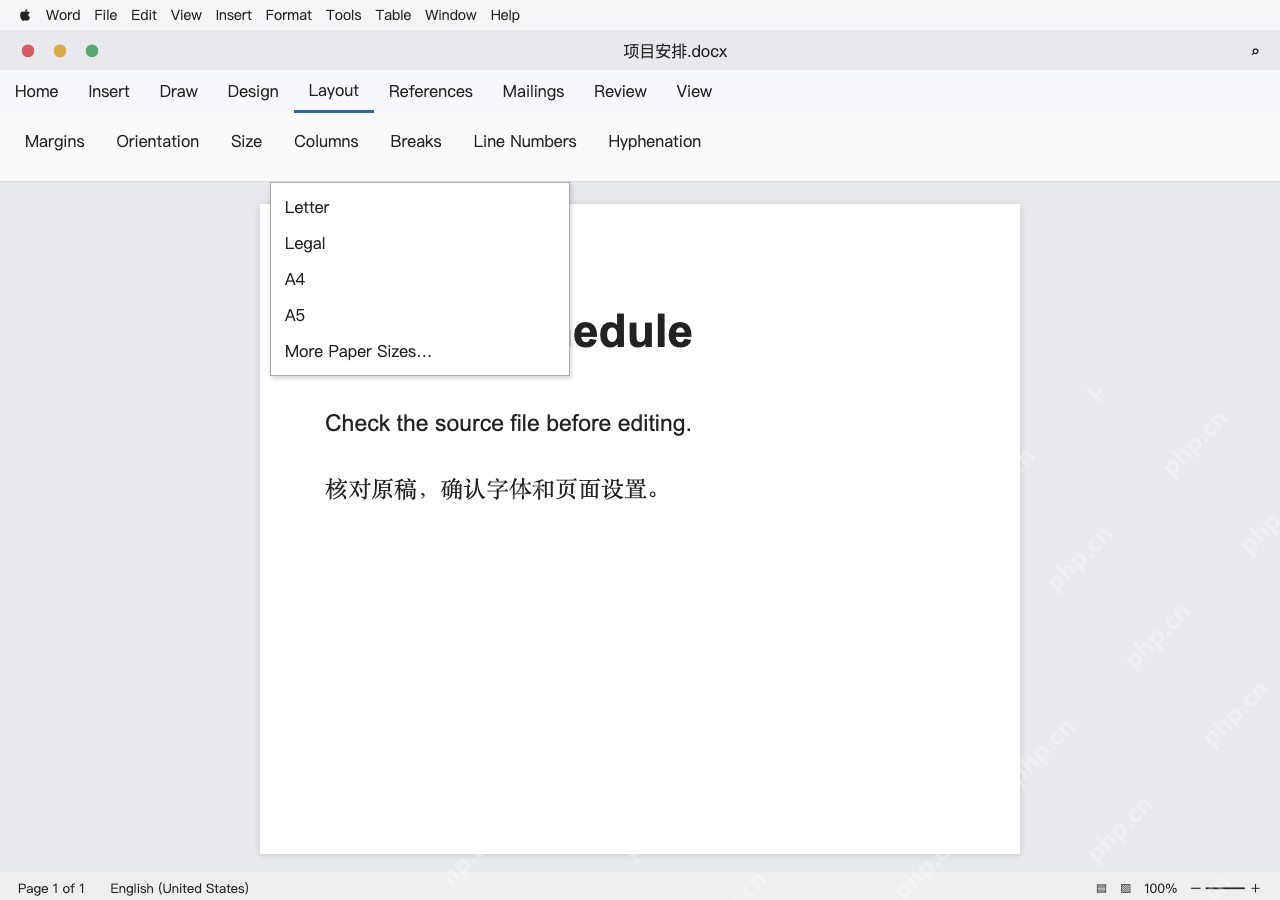 模拟 Microsoft Word for Mac 英文界面完整界面:核对纸张大小和页面参数