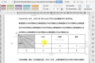 WPS如何给文档表格绘制斜线表头?结果检查