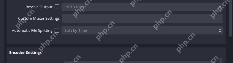 OBS Studio Advanced Output Recording 标签显示 Automatic File Splitting 录制分段选项