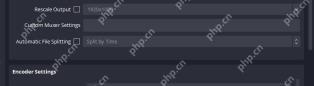 OBS Studio Advanced Output Recording 标签显示 Automatic File Splitting 录制分段选项
