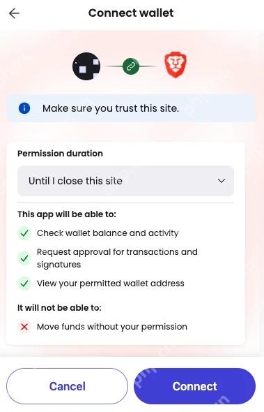 Brave Wallet 审阅 Rewards 连接权限