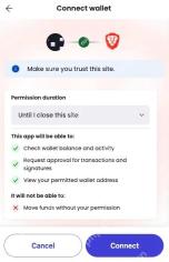 Brave Wallet 审阅 Rewards 连接权限