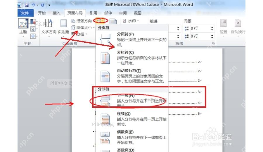 Word 分隔符菜单中标出分节符下一页选项