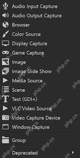 OBS Studio 官方来源类型列表包含 Display Capture
