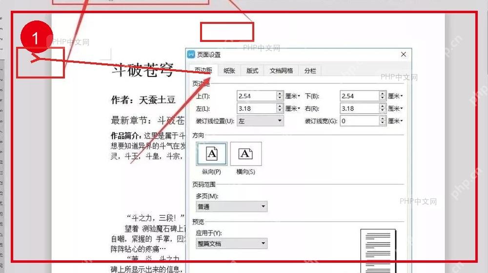 Word 或 WPS 文字页面布局选项卡中页边距按钮的位置