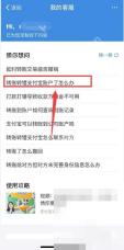 支付宝中文界面：转账转错支付宝账户了怎么办，对应步骤：进到客服问题列表后，继续点“转账转错支付宝账户了怎么办”。这一步看到的是平台已经整理好的对应问题。