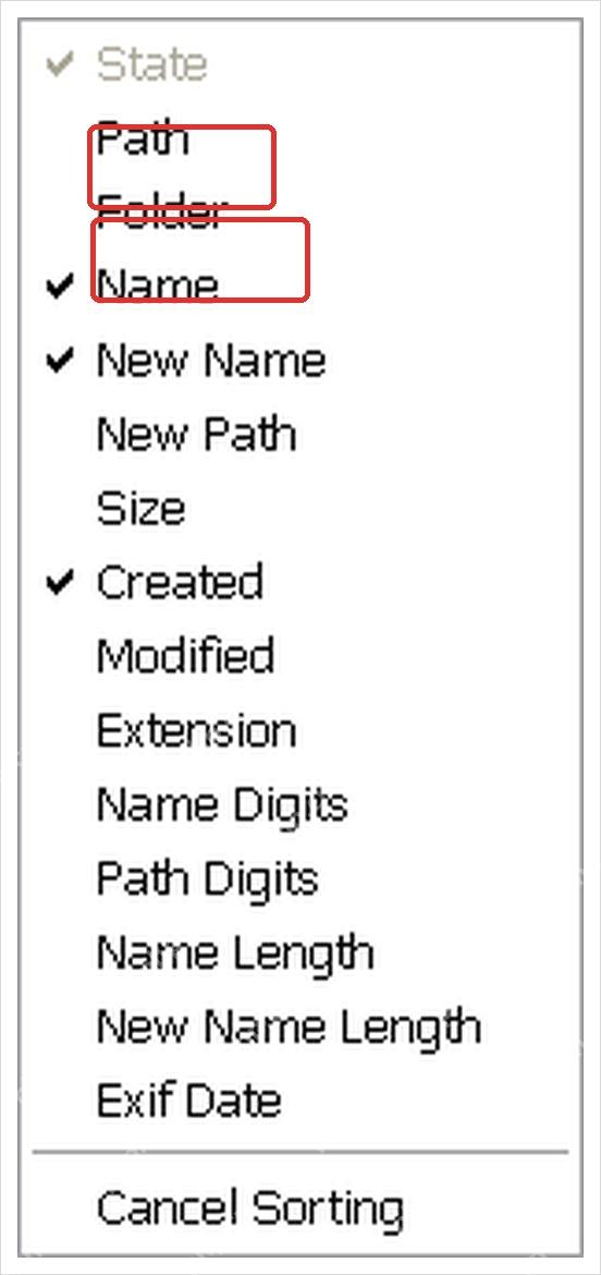 ReNamer Files 区域列菜单显示 Path 和 Folder 字段。