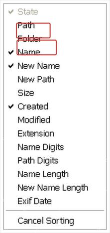 ReNamer Files 区域列菜单显示 Path 和 Folder 字段。