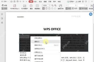 PDF如何删除PDF文档中的区域高亮?设置效果