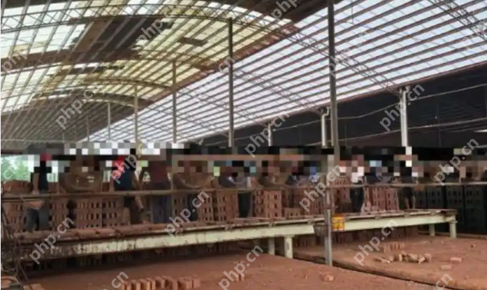 湖南永州“黑砖窑”事件曝光：6名残障工人疑被控制多年 - php中文网