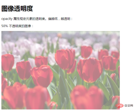 1617332290263012.png How to set css opacity