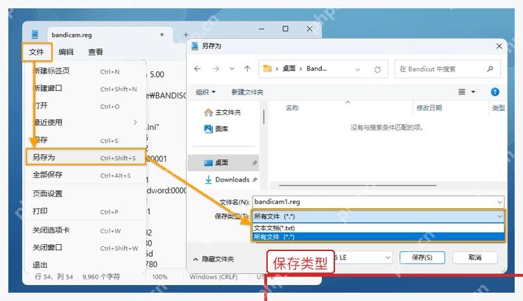 Windows 记事本另存为 Bandicam reg 配置文件
