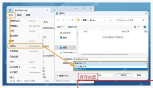 Windows 记事本另存为 Bandicam reg 配置文件