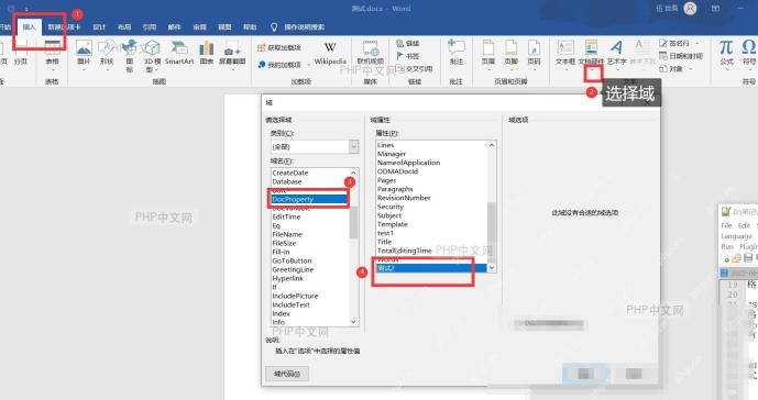 Word打开开发工具里的窗体控件入口