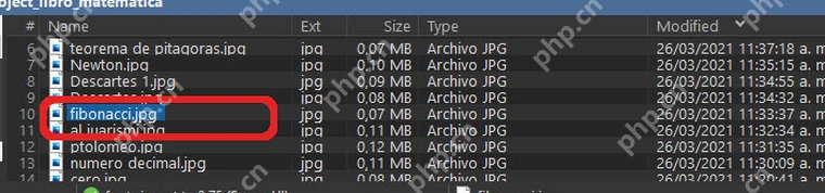 XYplorer 文件列表中选中要预览的 JPG 文件。