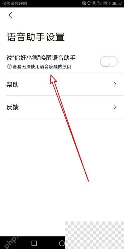 高德地图语音助手设置里的唤醒开关项