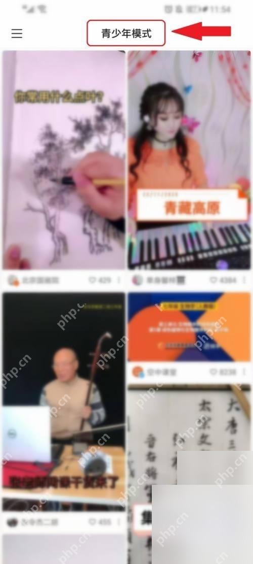 快手APP怎么开启青少年模式第3步操作界面