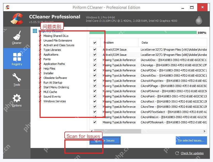 CCleaner Registry Cleaner 中的注册表问题类别
