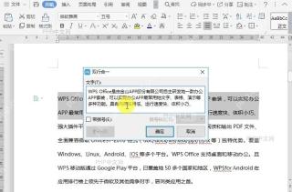 WPS如何设置文档双行合一?设置效果